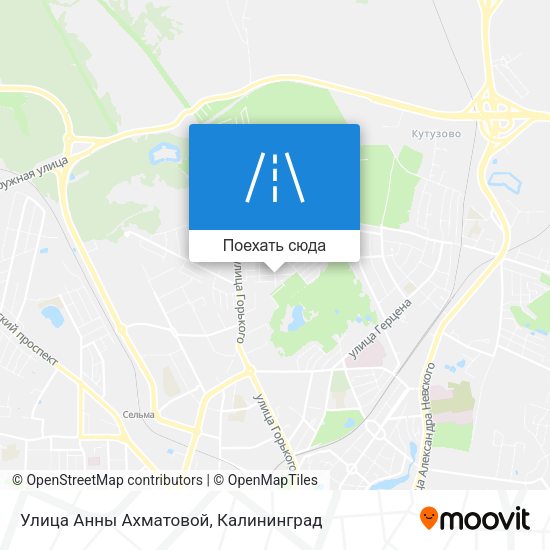 Карта Улица Анны Ахматовой