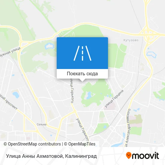 Карта Улица Анны Ахматовой
