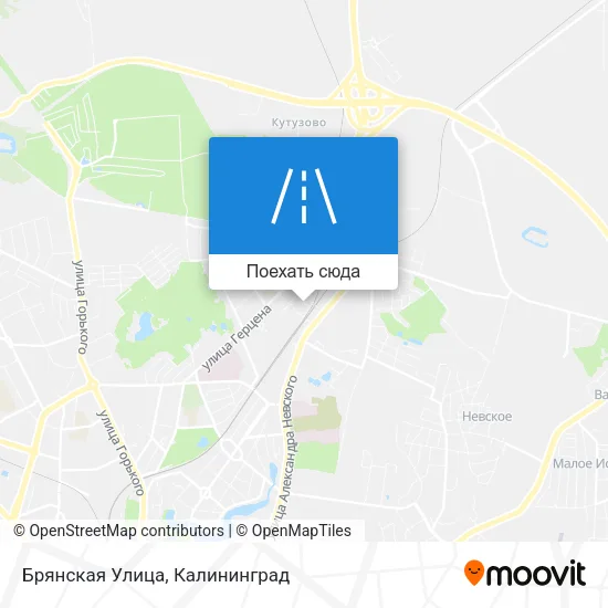 Карта Брянская Улица