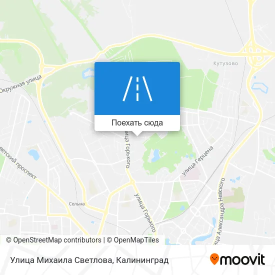 Карта Улица Михаила Светлова