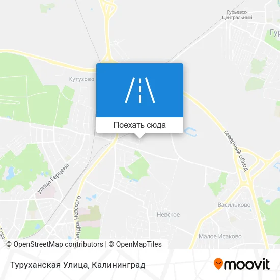Карта Туруханская Улица