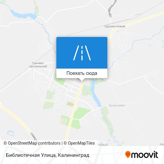 Карта Библиотечная Улица