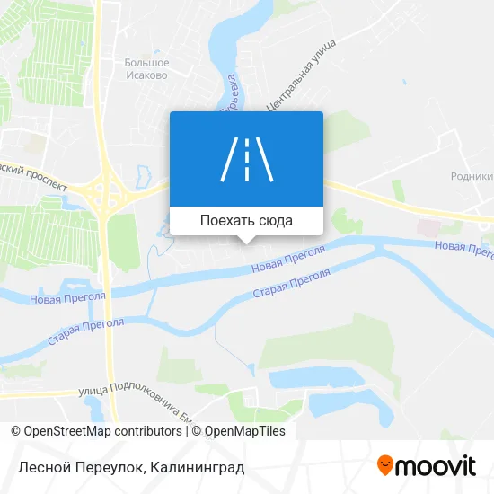 Карта Лесной Переулок