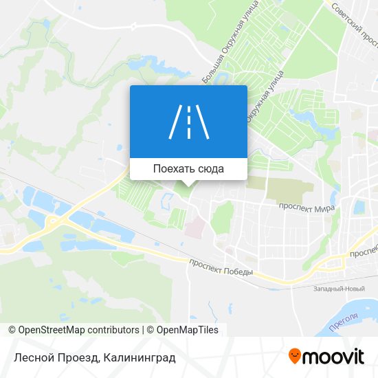 Карта Лесной Проезд
