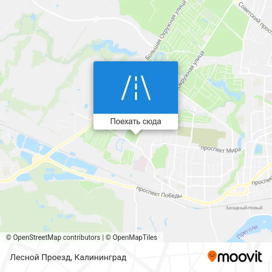 Карта Лесной Проезд