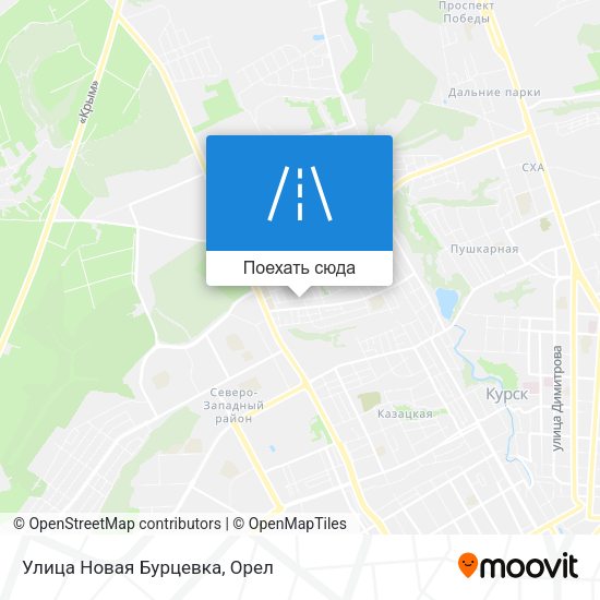 Карта Улица Новая Бурцевка