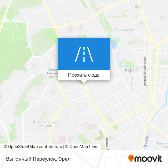 Карта Выгонный Переулок