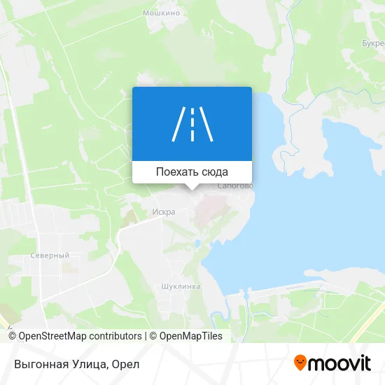 Карта Выгонная Улица