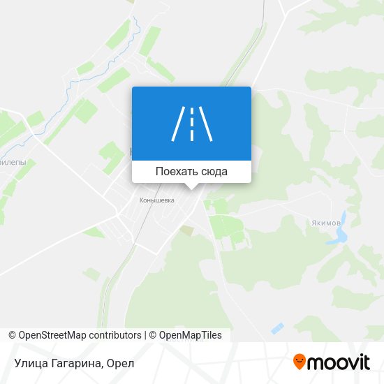 Карта Улица Гагарина