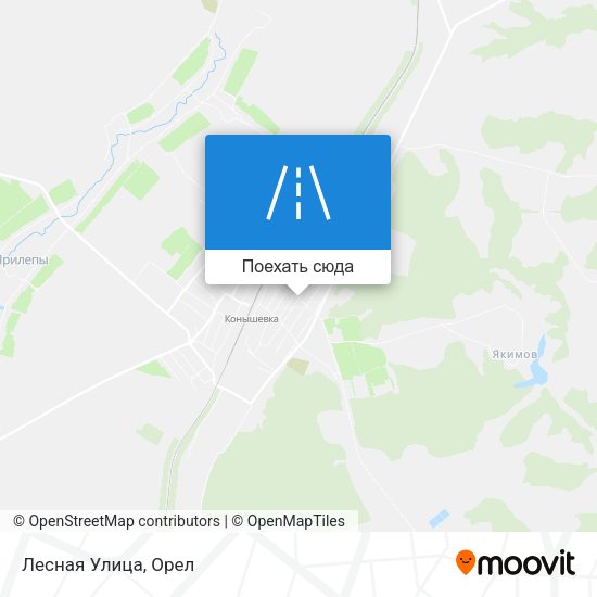 Карта Лесная Улица