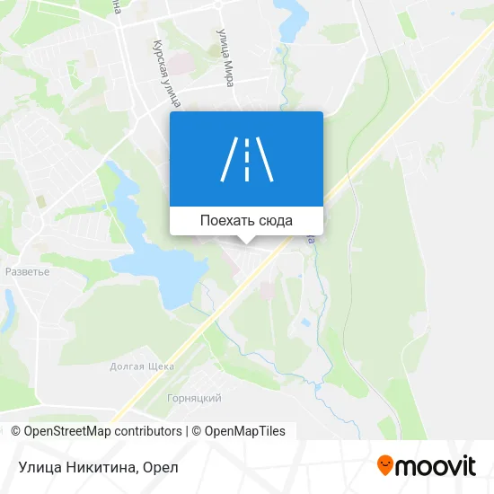 Карта Улица Никитина