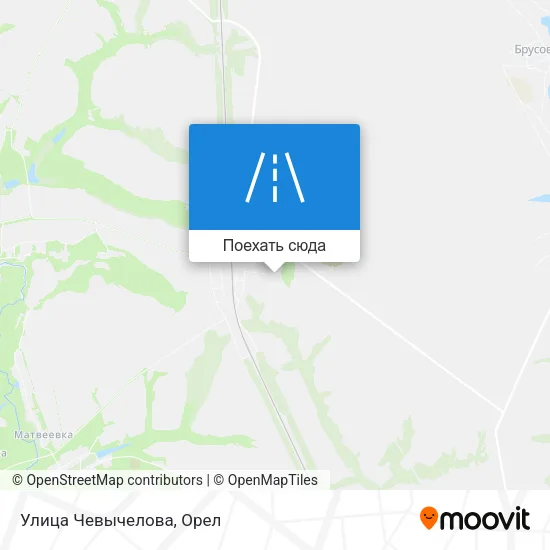 Карта Улица Чевычелова