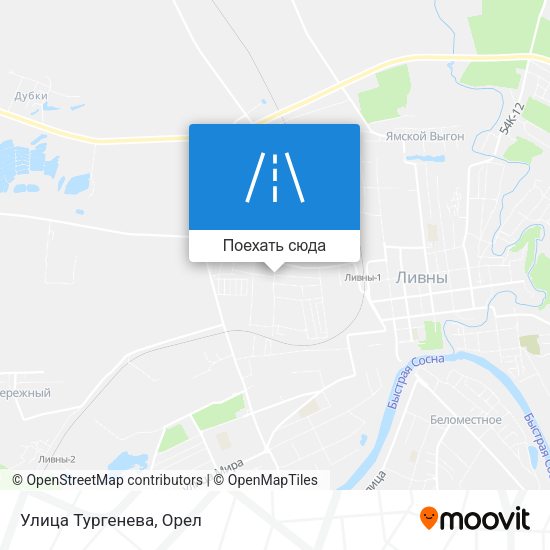 Карта Улица Тургенева