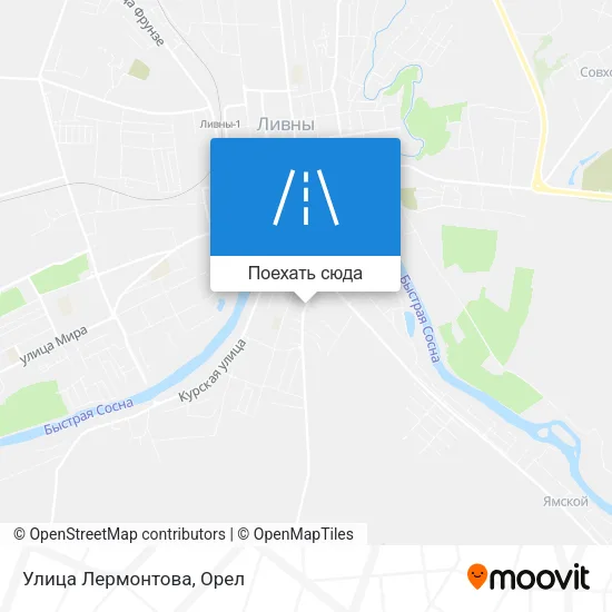 Карта Улица Лермонтова