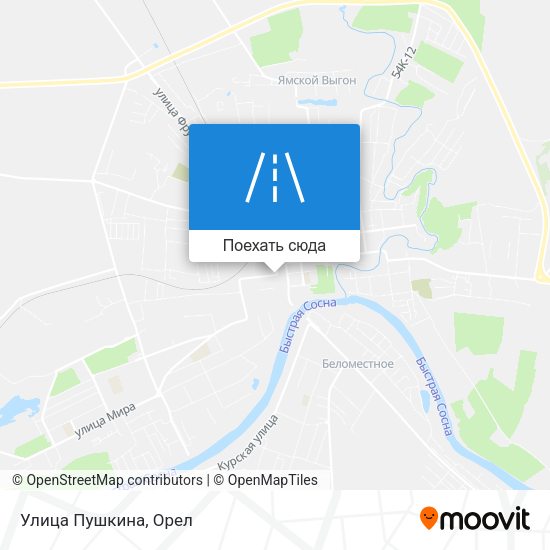 Карта Улица Пушкина