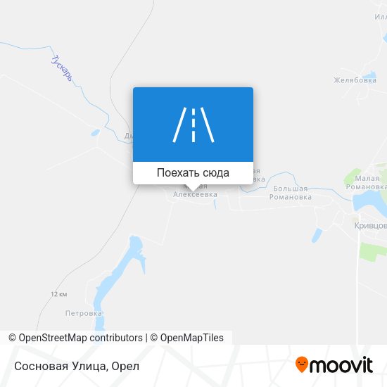 Карта Сосновая Улица
