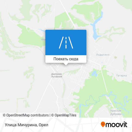 Карта Улица Мичурина