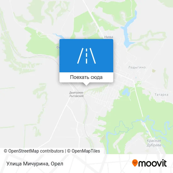 Карта Улица Мичурина