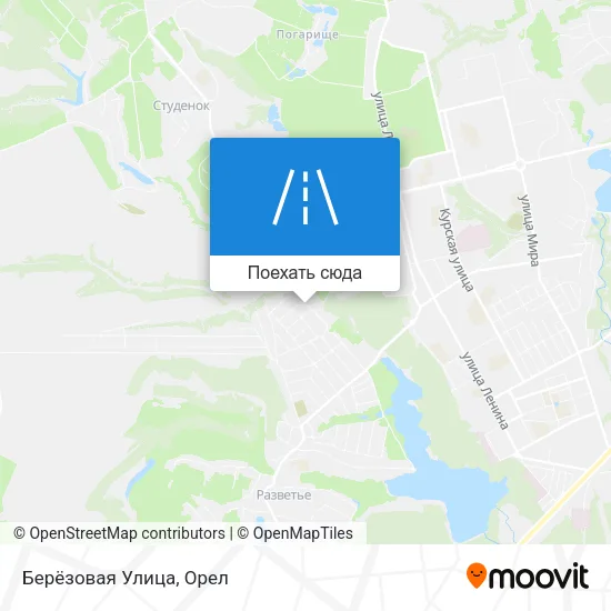 Карта Берёзовая Улица