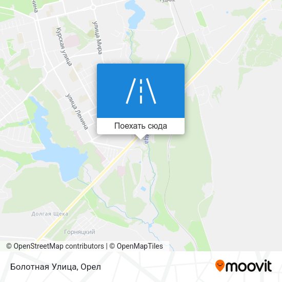 Карта Болотная Улица