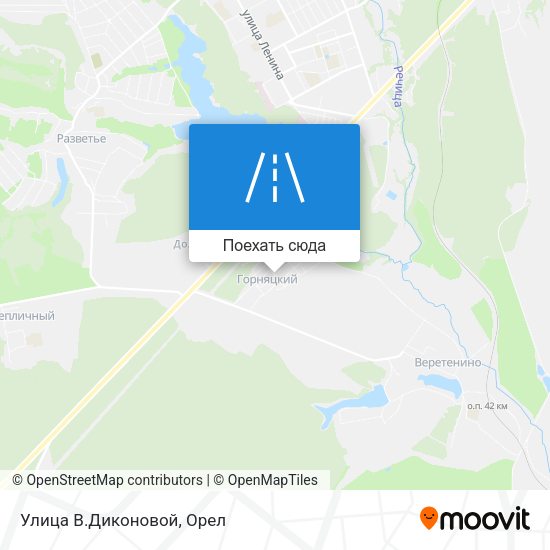 Карта Улица В.Диконовой
