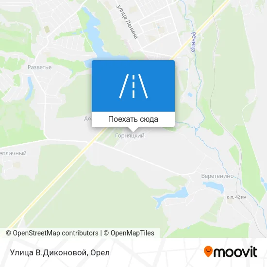 Карта Улица В.Диконовой