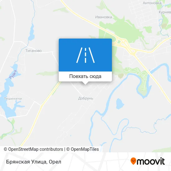 Карта Брянская Улица