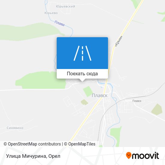 Карта Улица Мичурина