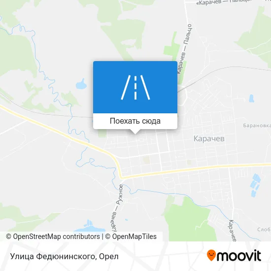 Карта Улица Федюнинского