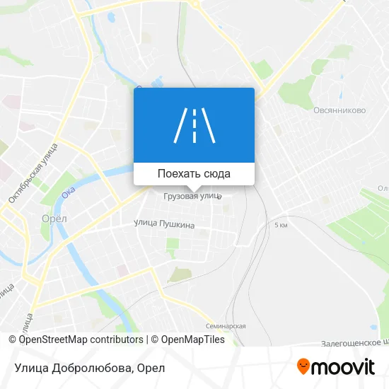 Карта Улица Добролюбова