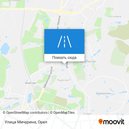 Карта Улица Мичурина