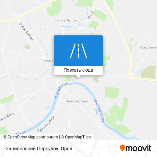 Карта Заливенский Переулок