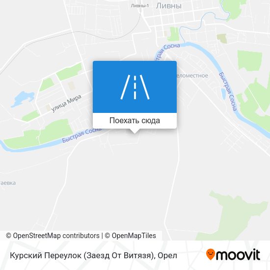 Карта Курский Переулок (Заезд От Витязя)