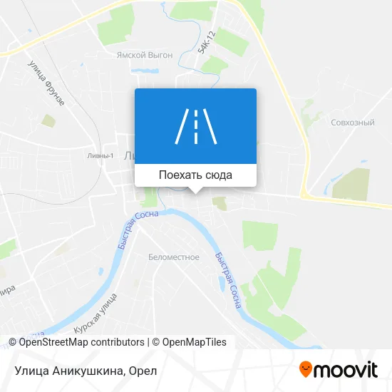 Карта Улица Аникушкина