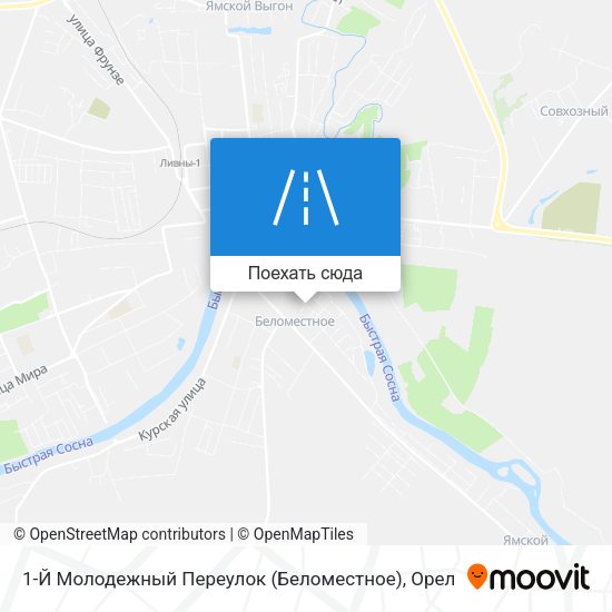 Карта 1-Й Молодежный Переулок (Беломестное)
