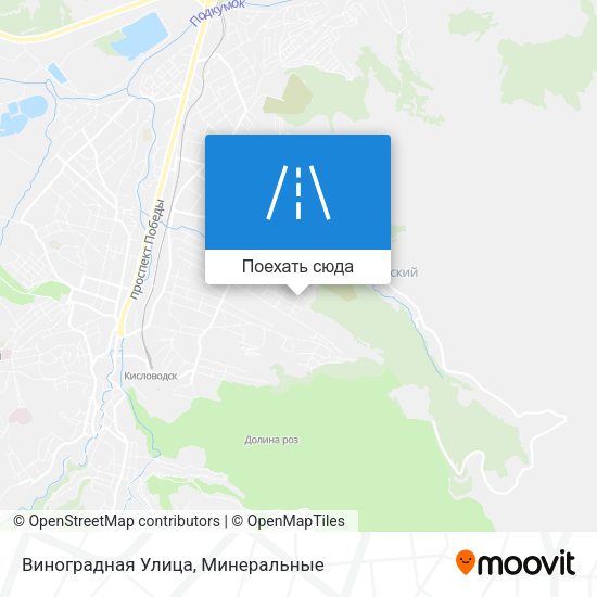 Карта Виноградная Улица