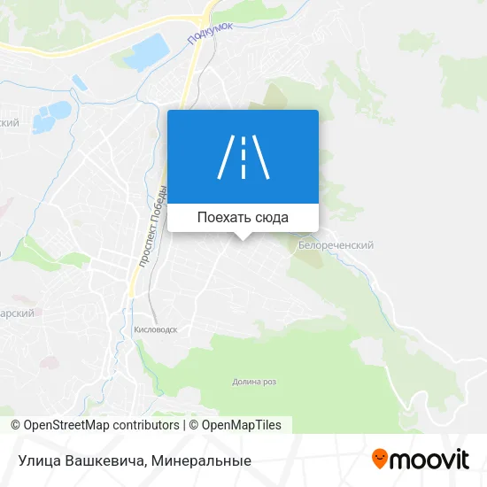 Карта Улица Вашкевича