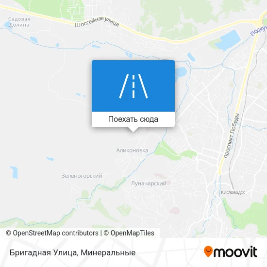 Карта Бригадная Улица