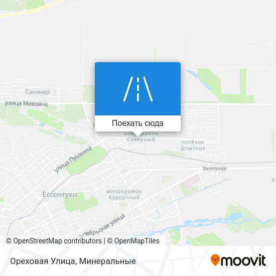 Карта Ореховая Улица