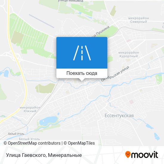 Карта Улица Гаевского