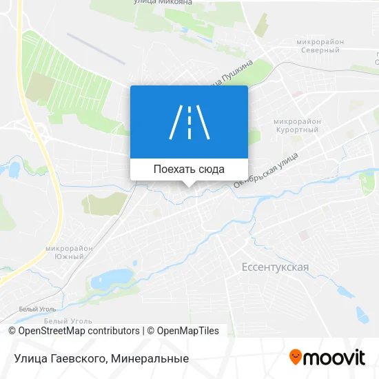 Карта Улица Гаевского