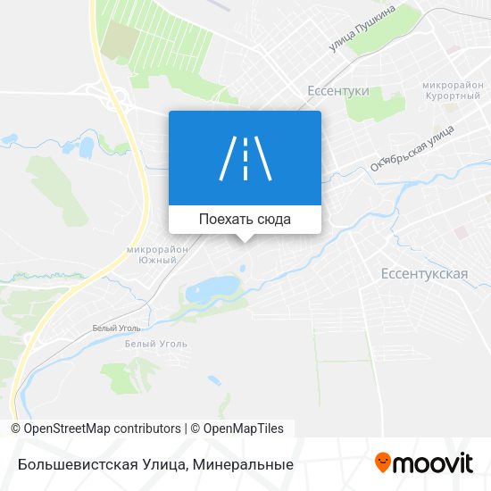 Карта Большевистская Улица