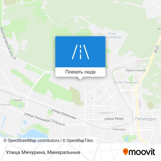 Карта Улица Мичурина