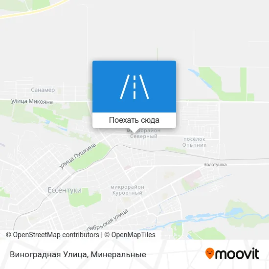 Карта Виноградная Улица