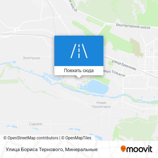 Карта Улица Бориса Тернового