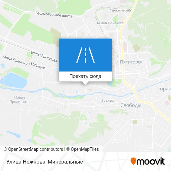 Карта Улица Нежнова