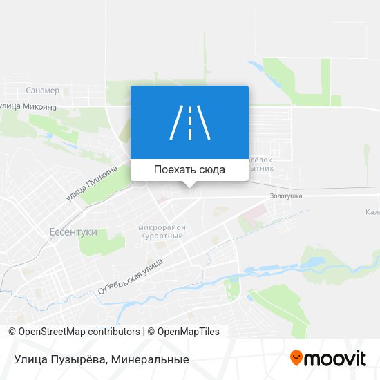 Карта Улица Пузырёва