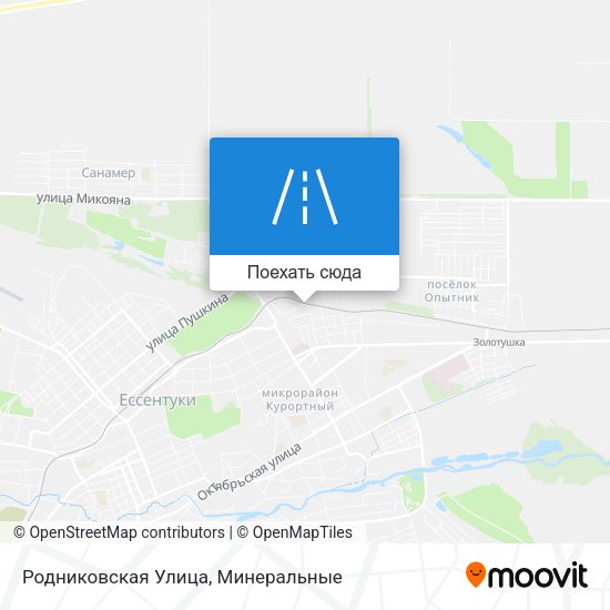 Карта Родниковская Улица