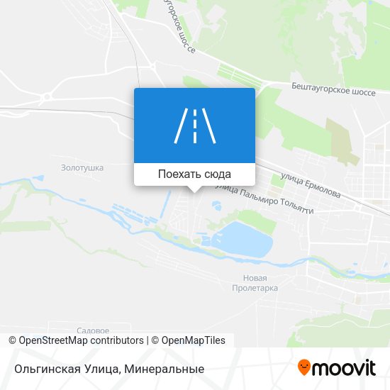 Карта Ольгинская Улица