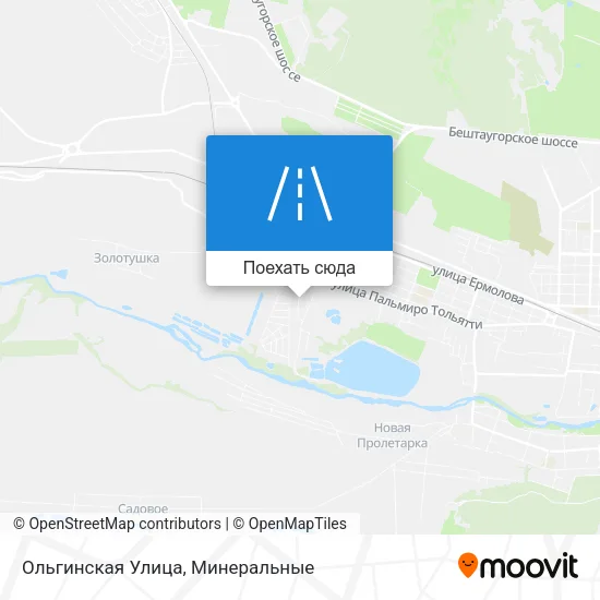 Карта Ольгинская Улица